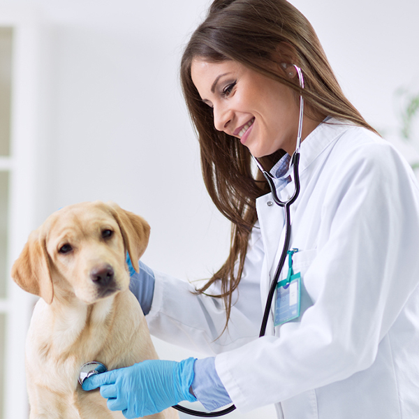 Clinics Near Me